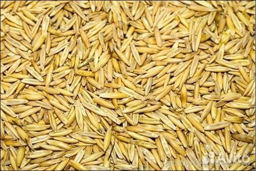 Комбикорм,пшеница,горох,ячмень,овёс,просо,кукуруза