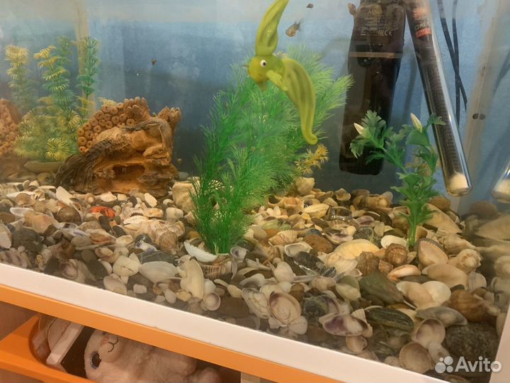 Аквариум