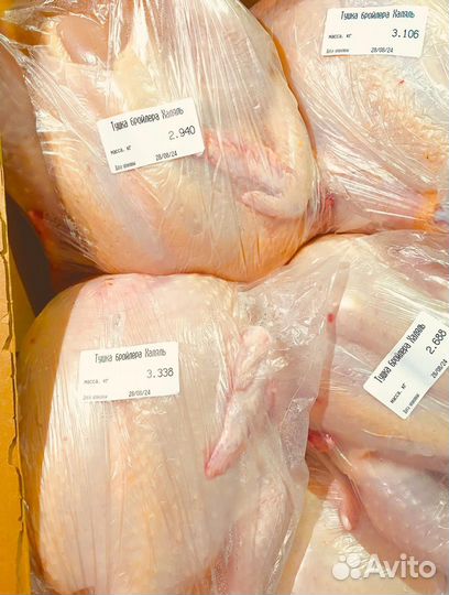 Тушки бройлеров халяль