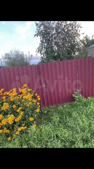 Участок 5,5 сот. (СНТ, ДНП)