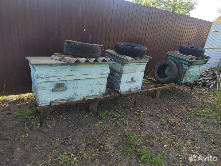 Ульи для пчел