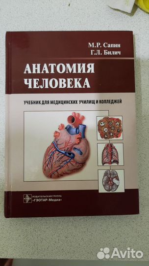 Учебник по анатомии Сипин, Билич