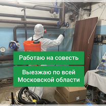 Обработка от тараканов — выезд по области, Апрелевка