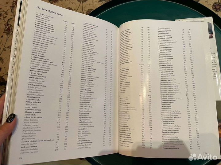 The Caucasus and Its Flowers,V.Holubec & P. Krivka