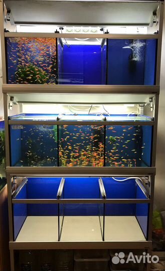 Аквариум б/у
