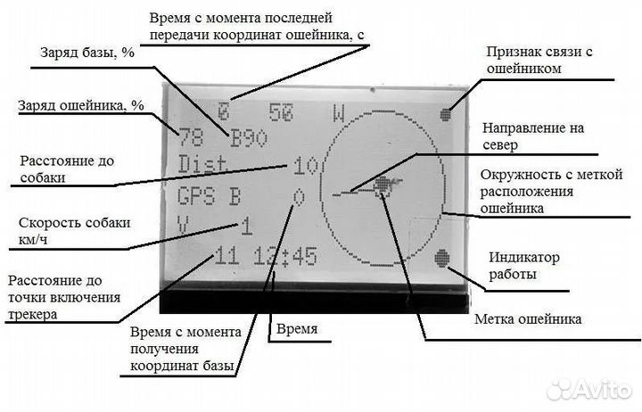 Система слежения за собакой, аналог garmin Astro