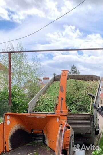 Щепа, мульча, органическое удобрение Бесплатно