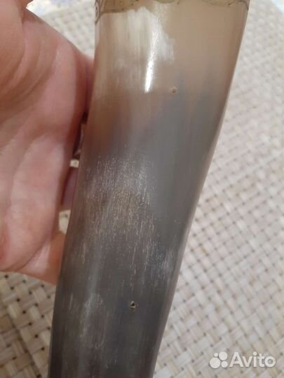 Рог натуральный