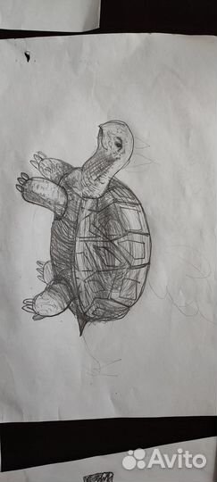 Рисунки на заказ для детей