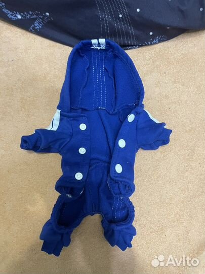 Одежда для маленьких собак