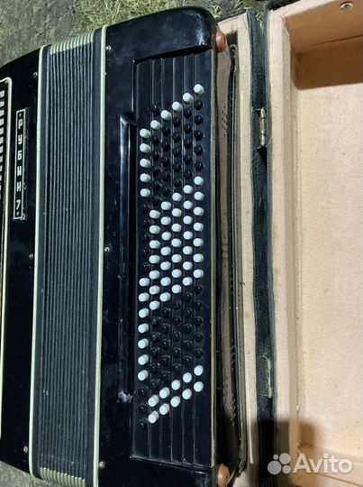 Баян рубин 7