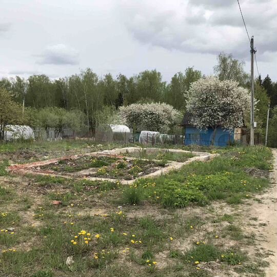 Участок 8 сот. (СНТ, ДНП)