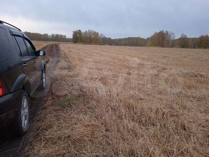 Участок 9,9 га (СНТ, ДНП)