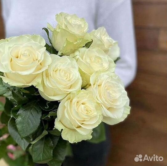 Высокие Розы с Доставкой