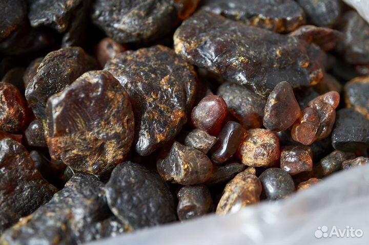 Натуральный янтарь с о. Сахалин