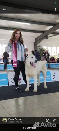 Шикарная девочка сао