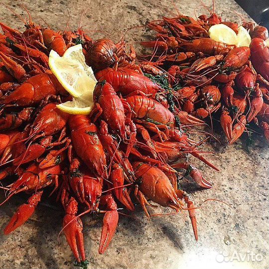 Раки варенные с доставкой
