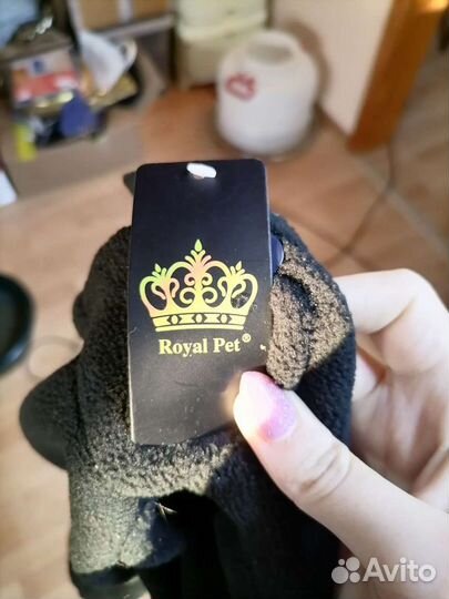 Комбинезон для таксы (спинка 36см)