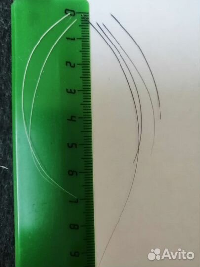 Усы кота белые и черные