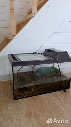 Аквариум+фильтр+нагреватель для черепахи