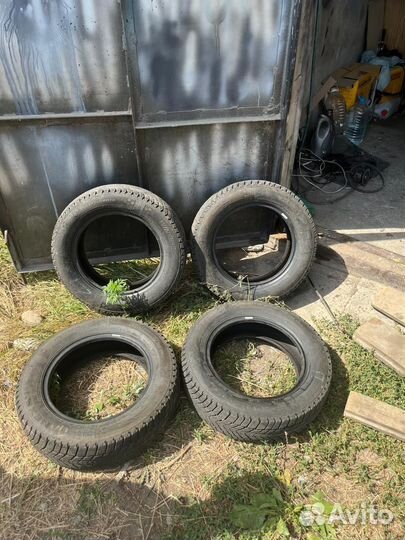 Nexen Winguard Ice Plus 175/65 R14