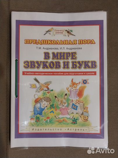 Учебник в Мире звуков и букв, Андрианова