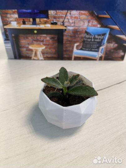 Кашпо на 3D принтере для суккулентов