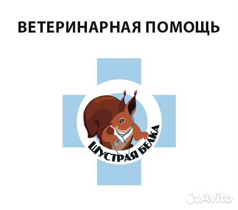 Ветеринарный врач