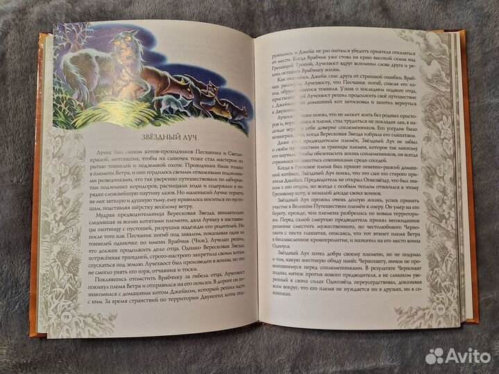 Коты-воители Память племён