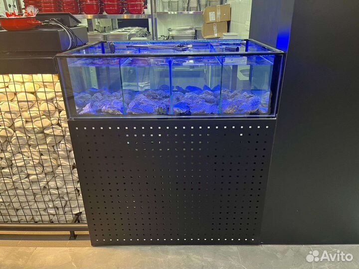 Аквариумы витрины для продажи устриц