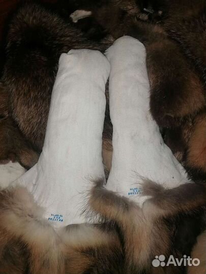 Шкуры мех енот