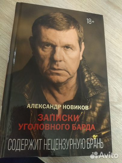 Записки уголовного. Соловьев в.с.