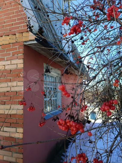 Дача 70 м² на участке 6,3 сот.