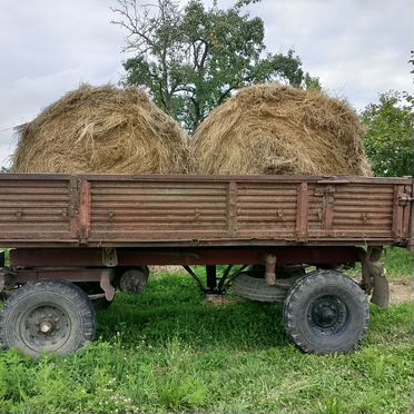 Продам сено в рулонах или обмен