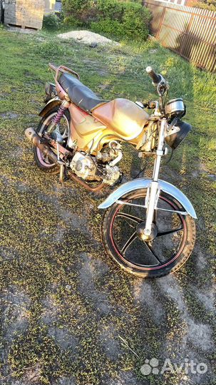 Racer Alpha RC110-N Trophy