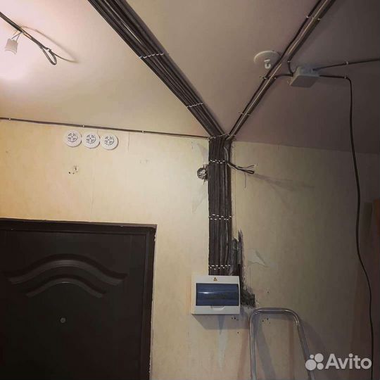 Электрик, Приморский район, не компания