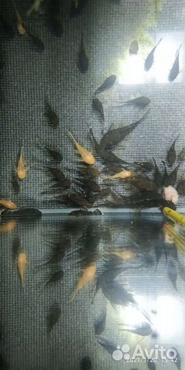 Украшение для аквариума