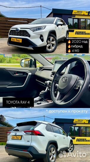 Авто Прокат От Эконом до Бизнес Класса,Безнал