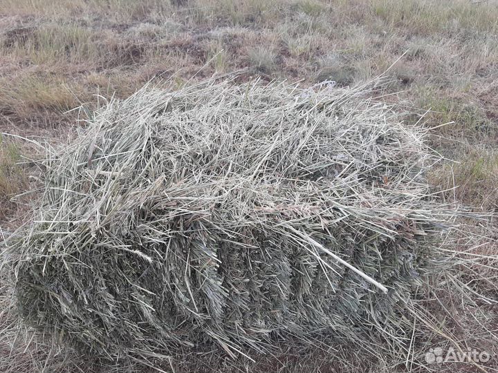 Сено луговое в тюках