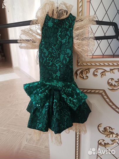 Одежда для собак мелких пород