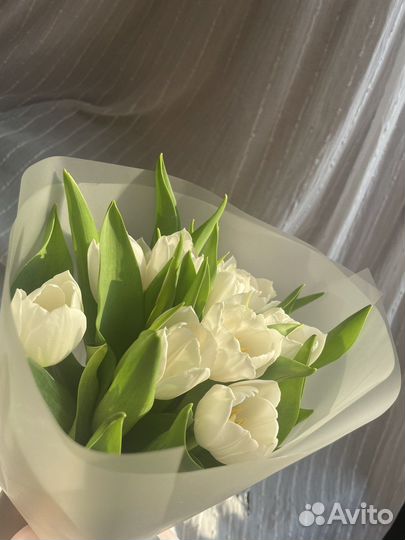 Букет из тюльпанов