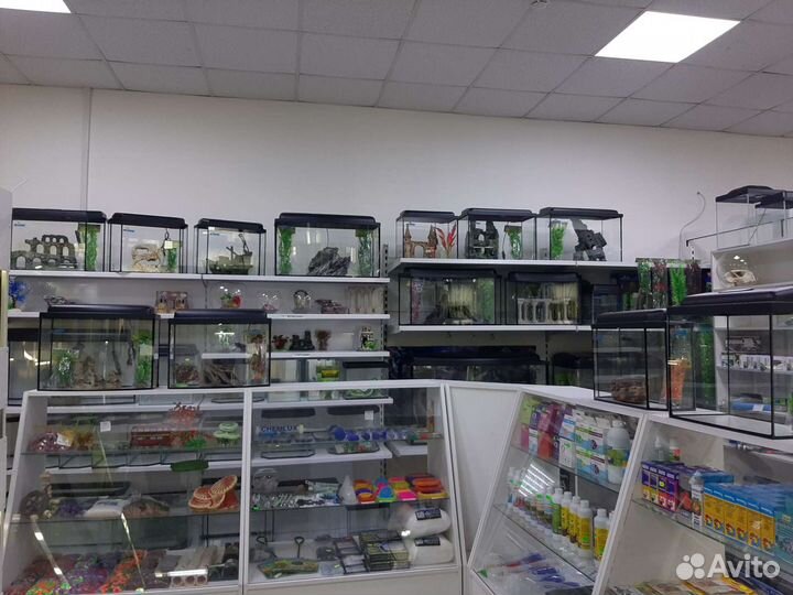 Рыбки,улитки,креветки,раки