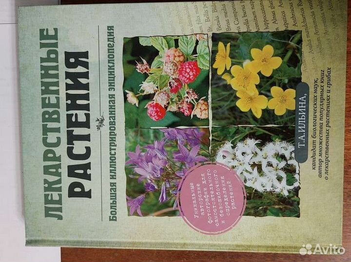Лекарственные растения Т. Ильина энциклопедия