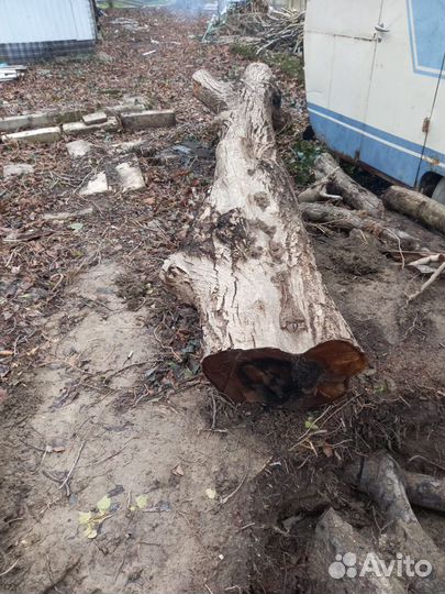 Слэб дерево орех