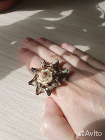 Кольцо из ракушки