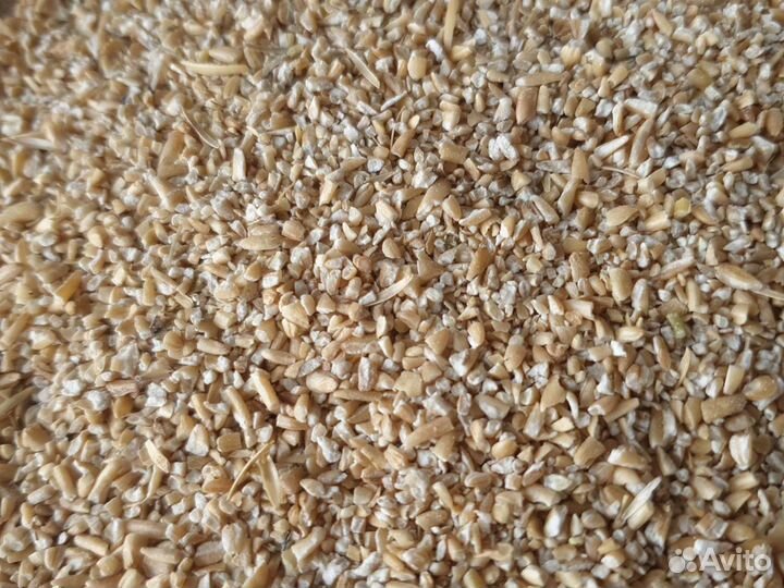 Дерть Овсяная