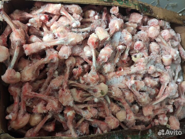 Корм для животных собак и кошек сухой и свежоморож