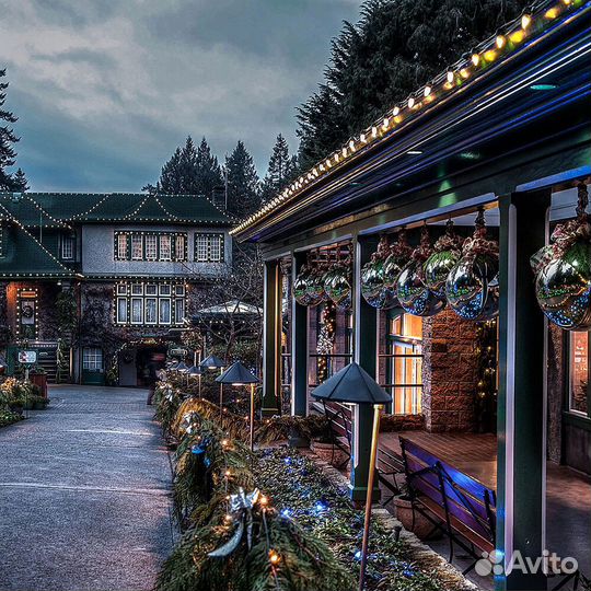 29881 Гирлянда feron