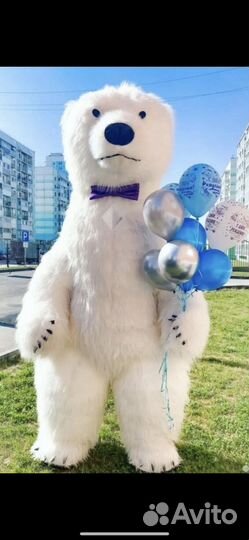 Мишка.аниматор.поздравить.ростовая кукла