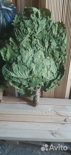 Веники для бани дуб